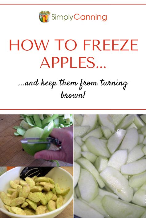 Learn how to freeze apple slices for use in pies and other baked treats! Use this quick method from SimplyCanning.com How To Freeze Fresh Apple Slices, Can I Freeze Apples, Freezing Fresh Apple Slices, Freezing Apples For Apple Crisp, How To Preserve Sliced Apples, How To Preserve Apples In The Freezer, How To Freeze Sliced Apples, Freezing Apple Slices, How To Freeze Apples Slices