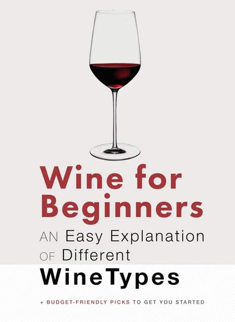 Red Wine For Beginners, Wine For Beginners, Wine Types, Wine Basics, Types Of Red Wine, Wine Chart, Wine Facts, Different Types Of Wine, Summer Drinks Alcohol