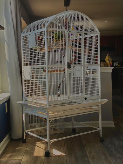 Aesthetic Bird Cage, Birdcage Aesthetic, Bird Cage Ideas, Big Bird Cage, Budgie Cage, Bird Accessories, Future Room, Iphone Homescreen, Animal Room