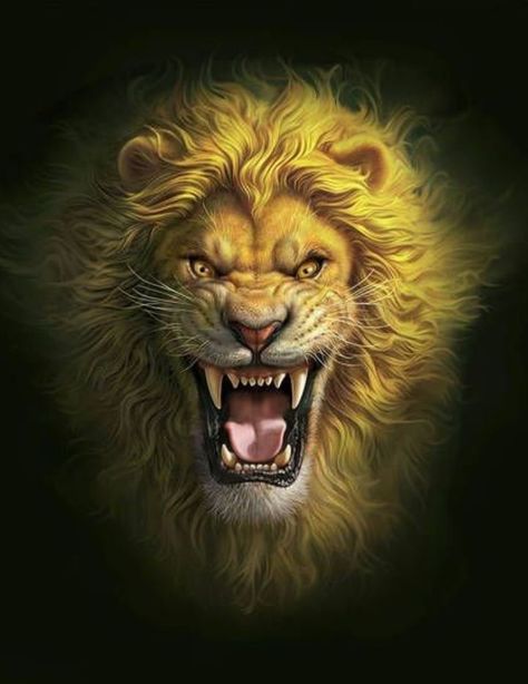 चमत्कारी नायक, Tato 3d, Fire Lion, Lion King Pictures, Lion Head Tattoos, Lion Artwork, Lions Photos, Lion Photography, Gato Grande