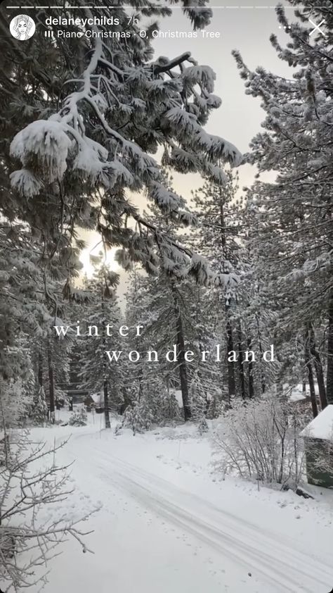 Aesthetic Winter Wonderland, Winter Aesthetic Snow, Mode Au Ski, Ski Pics, Aesthetic Snow, Snow Aesthetic, Dark Background Wallpaper, Winter Portraits, Winter Instagram