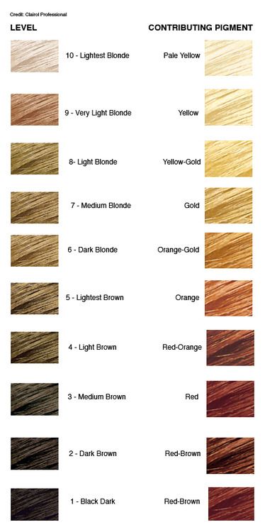 info on coloring hair ...I get a lot of questions regarding my very blonde hair colour - and so i decided to do an in-depth post about what i do and the brands i use... Level 8 Hair Color, Blonde Hair Levels, Levels Of Hair Color, Bleaching Hair, Hair Chart, Hair Levels, Hair Color Formulas, At Home Hair Color, Hair Color Chart