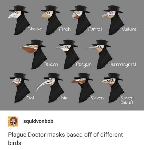 Plague Doctor Masks, Doctor Plague, Different Types Of Birds, Plague Mask, Types Of Birds, Plague Doctor Mask, Doctor Mask, Mask Drawing, Bird Masks