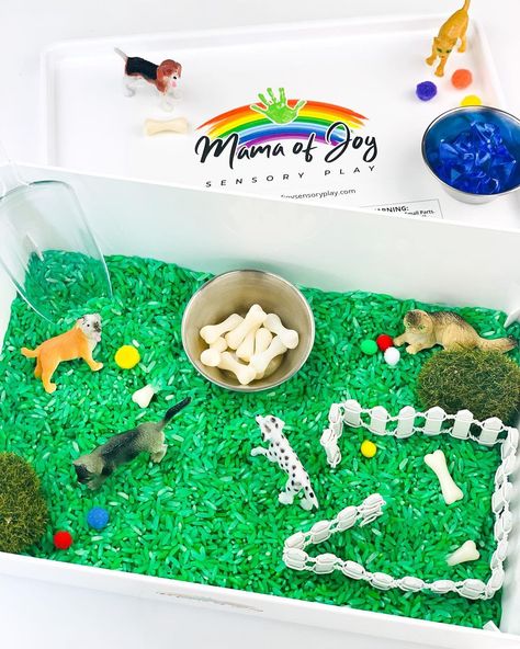 Backyard Kids, Mini Pom, K Crafts, Perfect Backyard, Small World Play, Sensory Bin, Puppy Party, Dog Activities, Baby Chicks