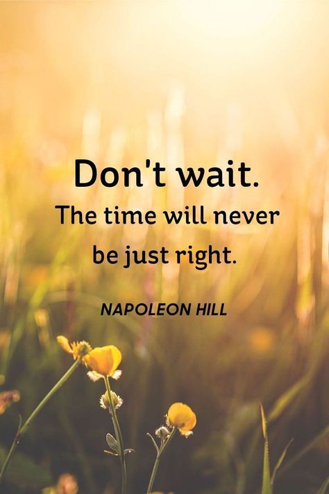 Don't wait. The time will never be just right Kayla Ward, Inspirational Quotes With Images, Inspiring Photography, Quotes Thoughts, Louise Hay, Coban, Awesome Quotes, Short Inspirational Quotes, Entrepreneur Motivation