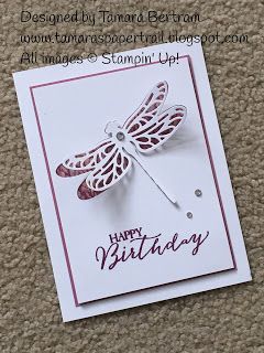 Dragonfly Birthday, Quick And Easy Cards, Stampin Up Birthday Cards, Easy Cards, Dragonfly Dreams, Birthday Cards For Women, Bee Cards, Paper Trail, Birthday Cards Diy