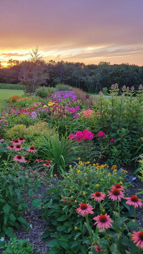 Wild Flower Gardens Backyards, Wild Landscaping Ideas, Yard Full Of Flowers, Flower Garden Inspiration Backyards, Wildflower Backyard Landscaping, Wildflower Cottage Garden, Backyard Flower Garden Aesthetic, Cottage Core Front Yard, Dream Flower Garden