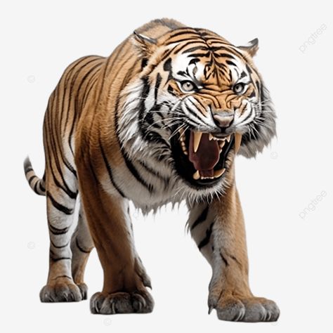 hyper realistic angry tiger full body white background 3d tiger animal png 3d Tiger, Angry Tiger, Animal Background, Animal Png, Pet Tiger, Background 3d, Tiger Tattoo, Photo Art Gallery, Wild Animals