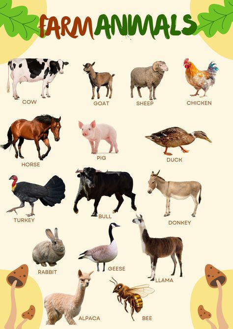 Farm animals poster is a great helper in exploring the world and learning new things. Watercolour pictures will help toddlers and pre-school children identify what the animal in farm is today, it will also help to memorize new words quickly and in a fun way.  Educational farm animal poster is also a great idea for a decoration in a nursery, playroom or a classroom. This is a digital download only.  No printed materials included. Digital downloads are available immediately after payment processin Montessori, Farm Animals List, Educational Farm, Watercolour Pictures, Farm With Animals, Montessori Cards, Animals Poster, Learning New Things, Animal Poster