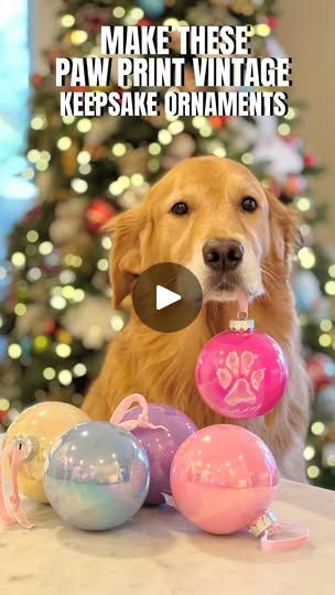 566K views · 99K reactions | I love how these paw print vintage inspired ornaments turned out! They were quick and easy to do and would make a fun keepsake that you will have for years to come. The perfect holiday craft for both your fur and human babies. Share with your friends for the holiday season. ✨🎄

✨Tip - Use a sponge when putting paint onto your dog’s paw. It will get you a much better print.🐾

All you need for this pawsome project is iridescent 4 inch balls, acrylic paint, non toxic water based paint, paint pen, ribbon, paint brush and a clean sponge. 

#goldenretriever #doglover #dogsarefamily #pawprint #dogs #christmasdog #dogsofinstagram #dogmom | Sunday | Not Your Typical  Golden Retriever Dog Paw Ornaments Diy, Dog Paw Print Christmas Crafts, Paw Print Ornament Diy, Dog Print Ornament, Dog Ornaments Diy, Dog Paw Print Craft, Paw Print Crafts, Paw Ornament, Paw Print Ornament