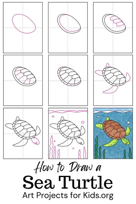 Learn how to draw a Sea Turtle with an easy step-by-step PDF tutorial. #howtodraw #tutorial #drawing #drawingtutorial #arttutorial #artprojectsforkids #howtodrawforkids #seaturtle Step By Step Sea Turtle Drawing, How To Draw Sea Turtle Step By Step, How To Draw A Turtle Step By Step, Turtle Directed Drawing, How To Draw A Sea Turtle, How To Draw A Turtle, Sea Turtle Drawing Easy, Turtle Art Kids, Sea Turtle Outline