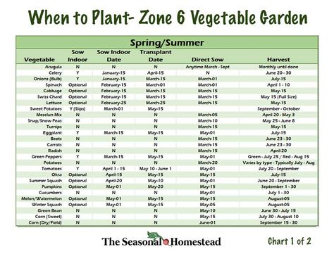 When to Plant Vegetables in Zone 6 - The Seasonal Homestead Seed Starting Soil, Plant Vegetables, When To Plant Vegetables, Planting Calendar, When To Plant, Succession Planting, Gardening Zones, Plant Zones, Vegetable Garden Planning