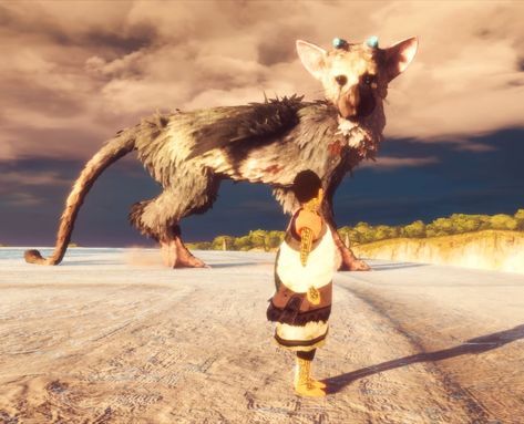 The Last Guardian Trico, Last Guardian Trico, Trico The Last Guardian, The Last Guardian, Last Guardian, Pizza Rolls, Cartoon Movies, Reference Photos, Siamese Cats