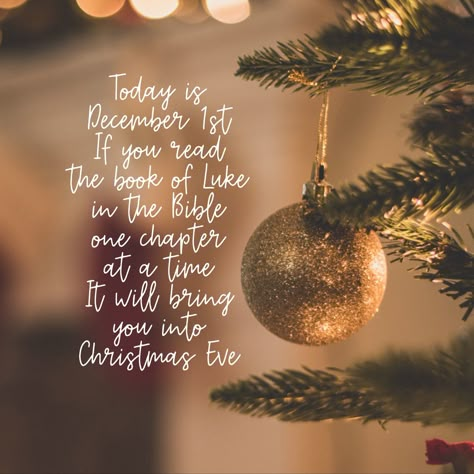 Today is December 1st. If you read the book of Luke in the Bible one chapter at a time, it will bring you into Christmas Eve.🎄🌟✨♥️ … #december1st #bookofluke #bible #truestoryofchristmas #jesus #jesusisking #kingofkings Reading Luke For Christmas, December 1 Bible Verse, December 1st Prayer, Christmas Eve Bible Verse, December 1 Quotes, December Bible Verses, 1 December Quotes, December 1st Quotes, December Blessings