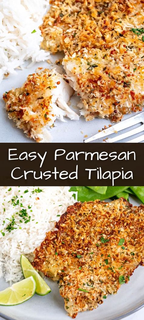 Tilapia Recipes Easy, Parmesan Crusted Tilapia, Tilapia Recipe, Crusted Tilapia, Fish Dinner Recipes, Tilapia Recipes, Fish Recipes Healthy, Parmesan Crusted, Fish Dinner