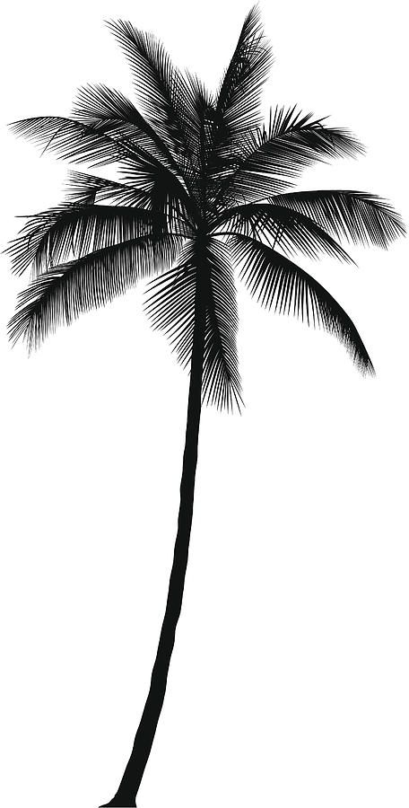 Cartoon Palm Tree, Seni Mural, Palm Tree Drawing, Tattoo Tree, Palm Tattoos, Palm Tree Silhouette, Tree Tattoo Designs, Palm Tree Tattoo, Beach Tattoo