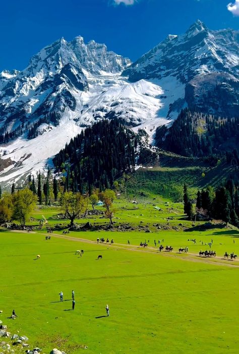 Sonmarg #Kashmir India 🇮🇳 India, Sonmarg Kashmir, Kashmir India, Thick Blanket, Guardian Angels, June 1, To Heaven, Beautiful Places, Pins