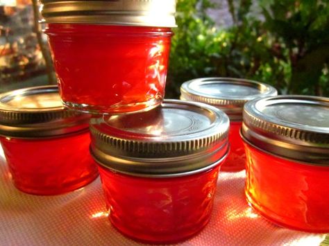 Christmas Jelly Christmas Jelly, Pure Cranberry Juice, Rose Petal Jam, Cranberry Jelly, Jalapeno Jelly, Hot Pepper Jelly, Cranberry Juice Cocktail, Canning Jam, Jelly Recipe