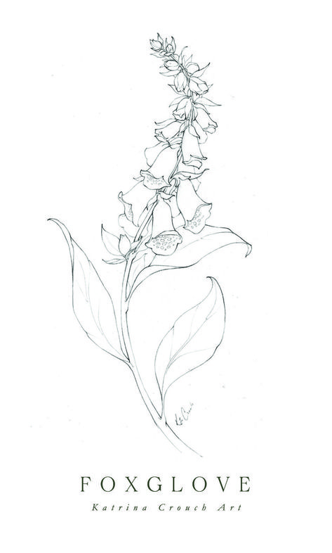 Long Flowers Drawing, Katrina Crouch Flower, Fox Glove Illustration, Foxglove Line Drawing, Dancing Flower Drawing, Fox Glove Flower Tattoos, Long Flower Drawing, Foxglove Sketch, Fox Gloves Flower