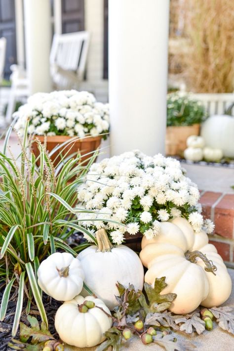 white pumpkins white mums fall porch decorations White Fall Decor Ideas, White Adirondack Chairs, Halloween Chic, Outside Fall Decor, White Mums, Fall Front Porch Decor, Cozy Outdoor, Fall Front Porch, Fall Outdoor Decor