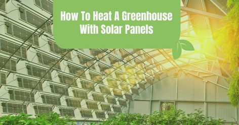 How To Heat A Greenhouse With Solar Panels: Full Guide Greenhouse Foundation, Aquaponics Greenhouse, Heating A Greenhouse, Best Greenhouse, Winter Greenhouse, Used Solar Panels, Winter Gardening, Photovoltaic Cells, Large Greenhouse