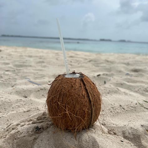 Coco loco is always choice #1 on the beach🥥🍹! Getting a buzz while staying hydrated is top tier. What’s your favorite beach drink?⬇️⬇️ #piñacolada #mojito #cocoloco #daquiri #agua Beach Drink, Coco Beach, Beach Drinks, Staying Hydrated, August 11, Pina Colada, Stay Hydrated, Mojito, Top Tier