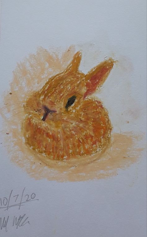 Bunny Oil Pastel, Silly Art, Oil Pastel Art, Baby Bunny, Oil Pastels, Baby Bunnies, Grad Gifts, Pastel Art