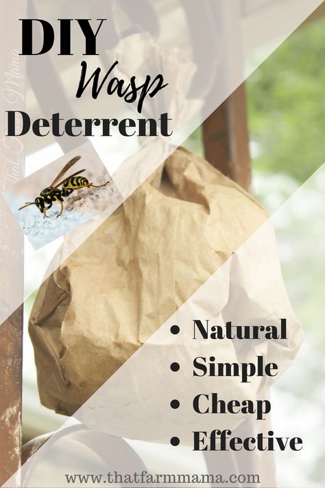 Wasp Trap Diy, How To Repel Flies, Natural Wasp Repellent, Fake Wasp Nest, Wasp Deterrent, Red Wasps, Wasp Killer, Repel Flies, Repellent Diy