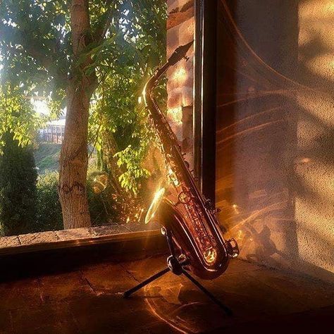 Yanagisawa Sax UK and Ireland on Instagram: “Yes! Beautiful shot of an A991 Alto!  #picoftheday #photooftheday #yanagisawa #yanagisawasax #altosax . . #Repost @theojobstsaxophone” Alto Saxophone Aesthetic, Genasi Dnd, Saxophone Aesthetic, Pretty Instruments, Blasting Music, Air Genasi, Band Aesthetic, Saxophones, Jazz Bar