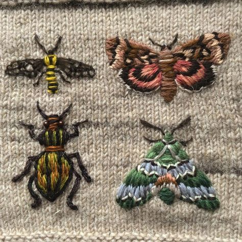 Embroidery Practice, Bugs Embroidery, Clothes Embroidery Diy, Hand Embroidery Projects, Embroidery On Clothes, Cute Embroidery, Sewing Embroidery Designs, Hand Embroidery Art, Embroidery Inspiration