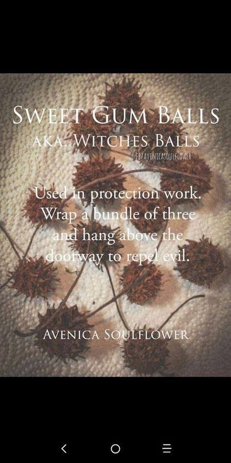 Peppercorn Witchcraft, Witches Burrs Uses, Witch Balls, Magickal Herbs, Sweet Gum, Wiccan Magic, Witch Spirituality, Magic Spell Book, Magic Herbs