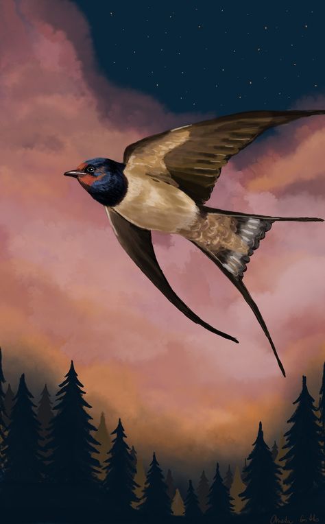 Swallow Bird Wallpaper, Swallow Aesthetic, Swallow Wallpaper, Swallow Painting, Swallow Art, Birds Aesthetic, Art Starry Night, I Feel Happy, Heal The Soul