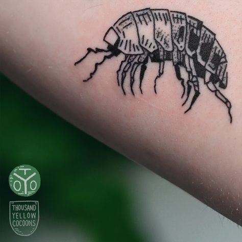 Bug Tattoo Knee, Pillbug Tattoo, Potato Bug Tattoo, Rollie Pollie Tattoo, Pill Bug Tattoo, Small Insect Tattoo, Isopod Drawing, Millipede Tattoo, Small Bug Tattoo