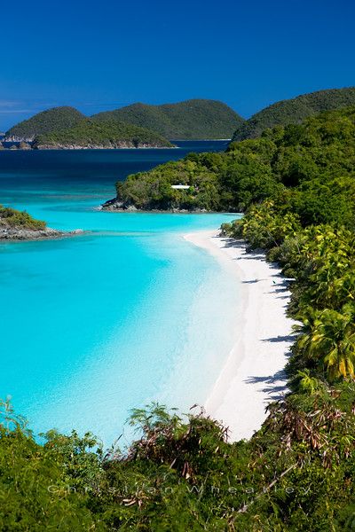 Nature, Trunk Bay St John Virgin Islands, St John Virgin Islands Photography, Saint John Virgin Islands, At John Usvi, St Thomas Virgin Islands Aesthetic, U.s. Virgin Islands, Virgin Islands Aesthetic, Saint Thomas Virgin Islands