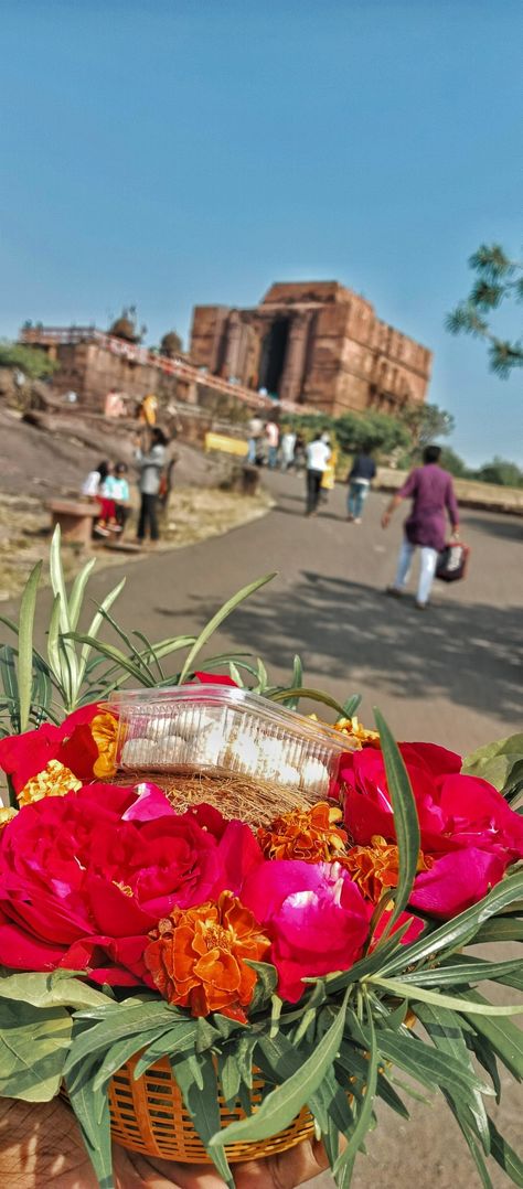 Jai shiv shambhu Bhojpur Temple, Bhopal Snap, Temple Snap, Temple, Quick Saves