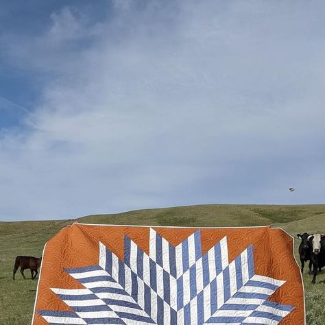 Lindlee Smith | Quilt Pattern Designer on Instagram: "This is one of my favorite pictures. I’m sure my dad thought it was weird when I said I was bringing a quilt when I came along to check cows but he didn’t say so. The cows definitely thought it was weird, but they posed nicely. 😂

The Commonwealth Star quilt pattern (my 4th pattern!) is 40% off with the discount code COMMON until next Tuesday.

#commonwealthstarquilt #plainsandpinepatterns #quiltsinthewild #quiltsunderthebigsky" Star Quilt Pattern, Star Quilt Patterns, Star Quilt, Commonwealth, My Dad, Quilt Pattern, I Said, Discount Code, Quilt Patterns