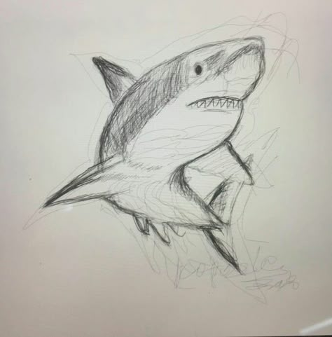 Easy Shark Drawing, Pen Doodles Easy, Shark Facts, Shark Drawing, Note Pen, Drawing Hands, Animal Drawings Sketches, Shark Art, Drawing Faces