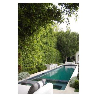 Mountain Drive - Traditional - Pool - Los Angeles - by EPTDESIGN | Houzz Ideas De Piscina, Small Inground Pool, Kleiner Pool Design, Inground Pool Designs, Wall Landscape, Moderne Pools, Spanish Modern, Small Swimming Pools, Pool Landscape Design