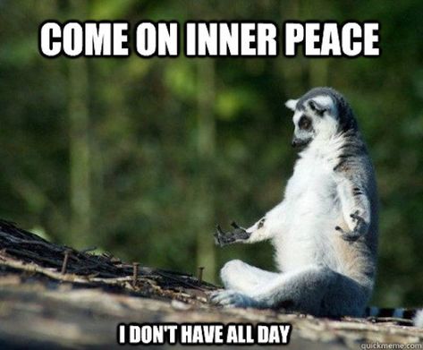 Funny Wednesday Memes, Yoga Jokes, Yoga Meme, Yoga Humor, Yoga Quotes Funny, Wednesday Humor, Happy Wednesday Quotes, Quotes Thoughts, Meditation Quotes