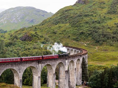 5 Day Highland Fling | VisitScotland. Tour from Edinburgh England Harry Potter, Glenfinnan Viaduct, Travel England, Scenic Train Rides, Ben Nevis, Fort William, Visit Scotland, Hogwarts Express, Train Ride