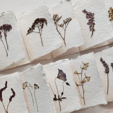 Vintage Flowers on Instagram: "Twenty handmade paper & pressed flower postcards are coming to @sisalla.nl in a few days! #cards #papercards #handmadepaper #nature ##paperaddict #paperaddicts #naturpapier #natuurpapier #pressedflower #pressingflowers #floralcards #herbarium #herbier" Handmade Paper Aesthetic, Pressed Flower Aesthetic, Watercolor Dried Flowers, Pressed Flower Journal, Pressed Flower Cards, Milk Carton Crafts, Vintage Cards Handmade, Outdoor Gallery, Flower Stationary