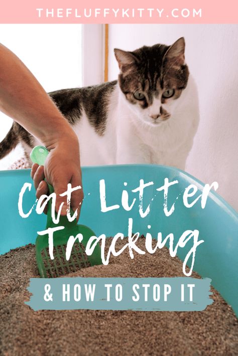 How to Stop My Cat from Tracking Litter Everywhere - Fluffy Kitty Kitty Litter Hacks, Stop Kitty Litter Tracking, Diy Cat Litter Mat, How To Keep Cat Litter Off The Floor, Diy Kitty Litter Box Ideas, Cat Litter Hacks, Cat Liter, Litter Box Ideas, Kitty Ideas