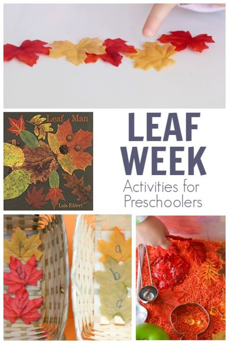 A week of simple activities for preschoolers on the theme of leaves featuring the book Leaf Man by Lois Ehlert from the Virtual Book Club for Kids.  #fallthemes #preschoolactivities #vbcforkids Tree Theme For Preschool, We're Going On A Leaf Hunt Preschool, Were Going On A Leaf Hunt, Going On A Leaf Hunt Preschool, We’re Going On A Leaf Hunt Activities, Leaf Activities For Preschoolers, Going On A Leaf Hunt Activities, The Leaf Thief Activities Preschool, Leaf Hunt Preschool