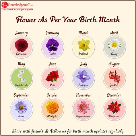 Nature, Aquarius Flower Birth Month, Sagittarius Flower Birth Month, Flowers Based On Birth Month, Capricorn Flower Birth Month, Gemini Flower Tattoo Birth Month, Taurus Flower Birth Month, Libra Flower Tattoo Birth Month, Pisces Birth Flower