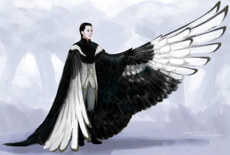 Feather Cloak Fantasy Art, Feather Cloak, Wing Cape, Human Wings, Winged People, Feather Coat, Angel Man, Star Wars Outfits, Bird Wings