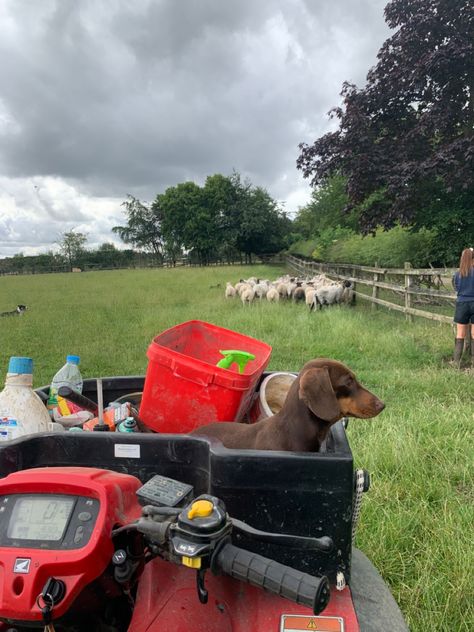 Farm Owner Aesthetic, Working On A Farm Aesthetic, English Farm Aesthetic, Owning A Farm Aesthetic, Country Farm Life Aesthetic, Farming Aesthetic Country Living, Farm Vet Aesthetic, Sheep Farm Aesthetic, Farm Summer Aesthetic