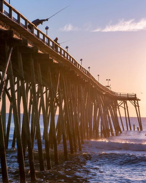 Discover New Favorites in Kure Beach This Year Fall Fishing, Kure Beach, Beach Yoga, Carolina Beach, Beach Fishing, Pier Fishing, Yoga Classes, Beach Town, Aquariums