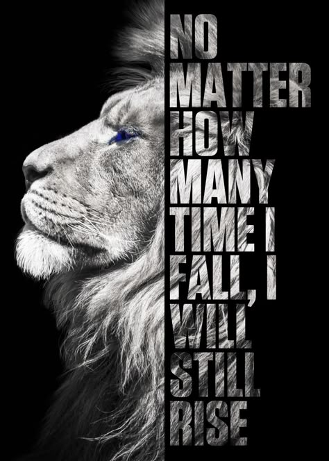 'I Will Still Rise' Poster by Terrance Seay | Displate Lion Quotes, Inspirational Quotes With Images, Warrior Quotes, Quotes With Images, Mindset Quotes, Lesson Quotes, Life Lesson Quotes, A Lion, Mindfulness Quotes