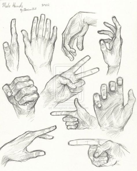 Hands Hand Pencil Drawing, Hand Sketches, Hand Anatomy, Male Figure Drawing, Drawing Hands, Hand Gestures, Human Anatomy Drawing, Body Sketches, Human Figure Drawing