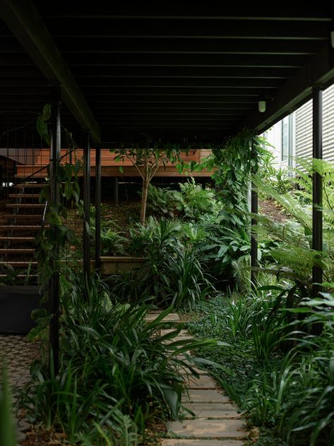 Elevated Houses, Parallel Play, Raked Ceiling, Inspiring Architecture, Backyard Layout, Tropical Landscape, Garden Idea, The Local Project, Building Techniques